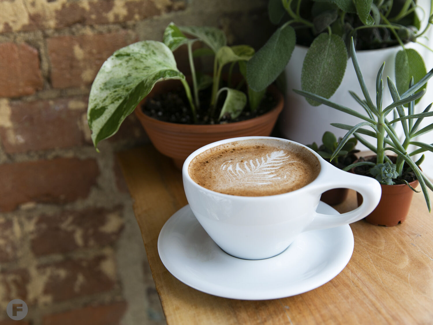 The Coffee Ethic